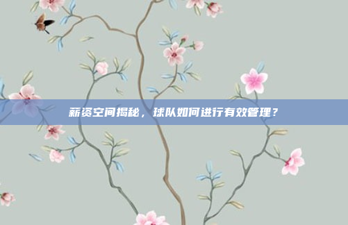 薪资空间揭秘，球队如何进行有效管理？