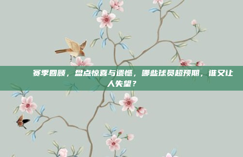 🎉 赛季回顾，盘点惊喜与遗憾，哪些球员超预期，谁又让人失望？