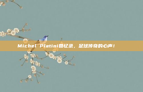 Michel Platini回忆录，足球传奇的心声！📖