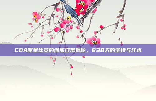 CBA明星球员的训练日常揭秘，838天的坚持与汗水