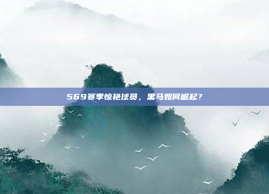 569赛季惊艳球员，黑马如何崛起？