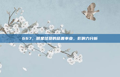 667，明星球员的慈善事业，影响力分析