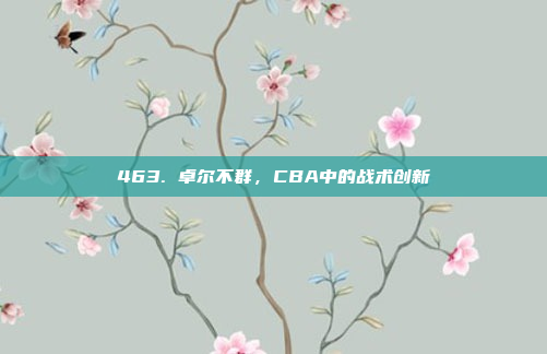 463. 卓尔不群，CBA中的战术创新