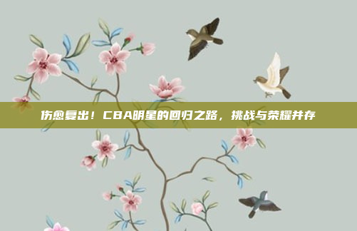 伤愈复出！CBA明星的回归之路，挑战与荣耀并存