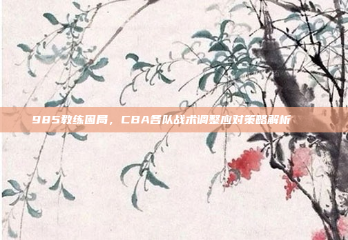 985教练困局，CBA各队战术调整应对策略解析🛠️