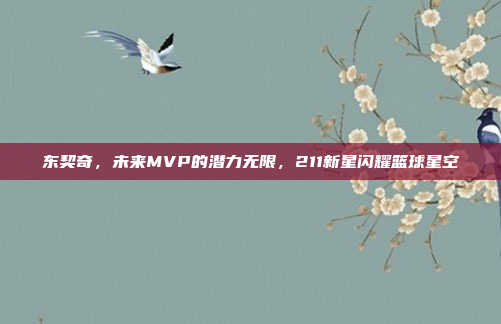 东契奇，未来MVP的潜力无限，211新星闪耀篮球星空