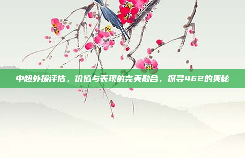 中超外援评估，价值与表现的完美融合，探寻462的奥秘