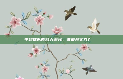 中超球队阵容大曝光，谁最具实力？🔍