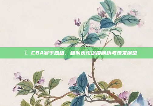 📣 CBA赛季总结，各队表现深度剖析与未来展望